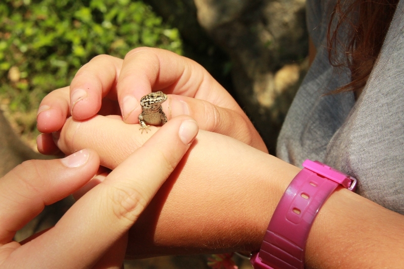 Village Camps International Summer Camp Ard&egrave;che, France 2019-07-26 https://www.villagecamps.com/journals_admin/images/644-9-15-07-2013 lossless (72).jpg